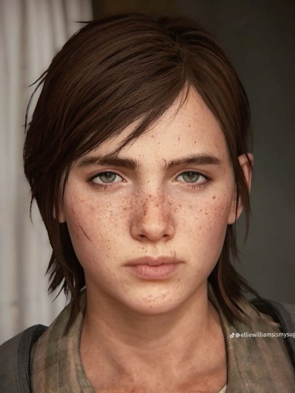 Ellie Williams (The Last of Us) front portrait