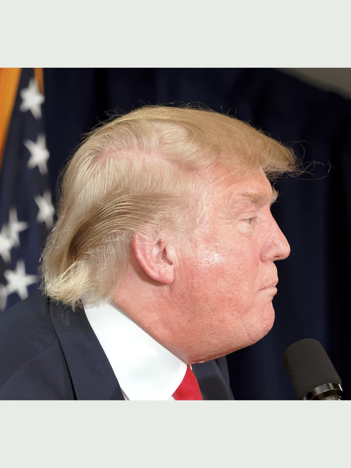 Donald Trump side portrait
