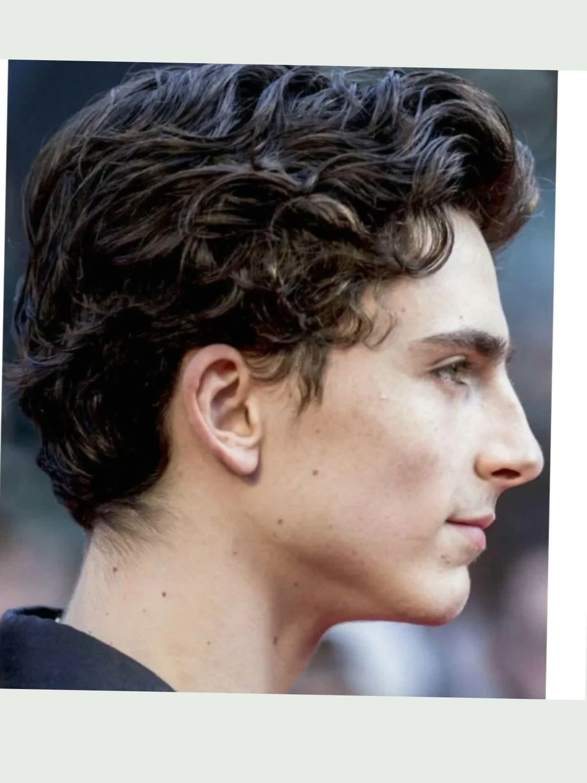 Timothée Chalamet side portrait