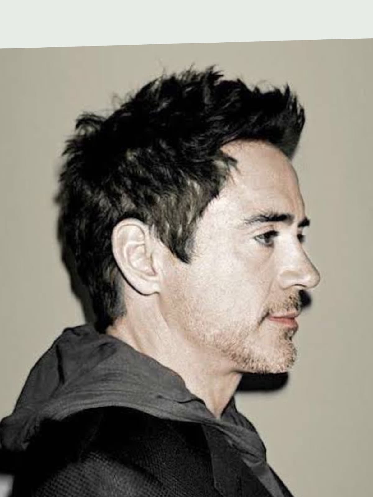 Robert Downey Jr. side portrait