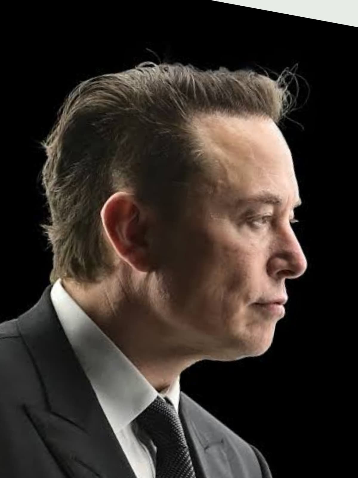 Elon Musk side portrait