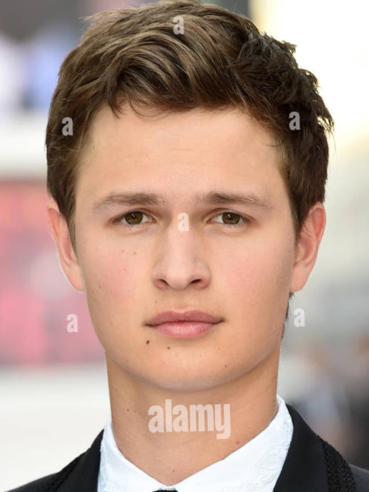 Ansel Elgort front portrait