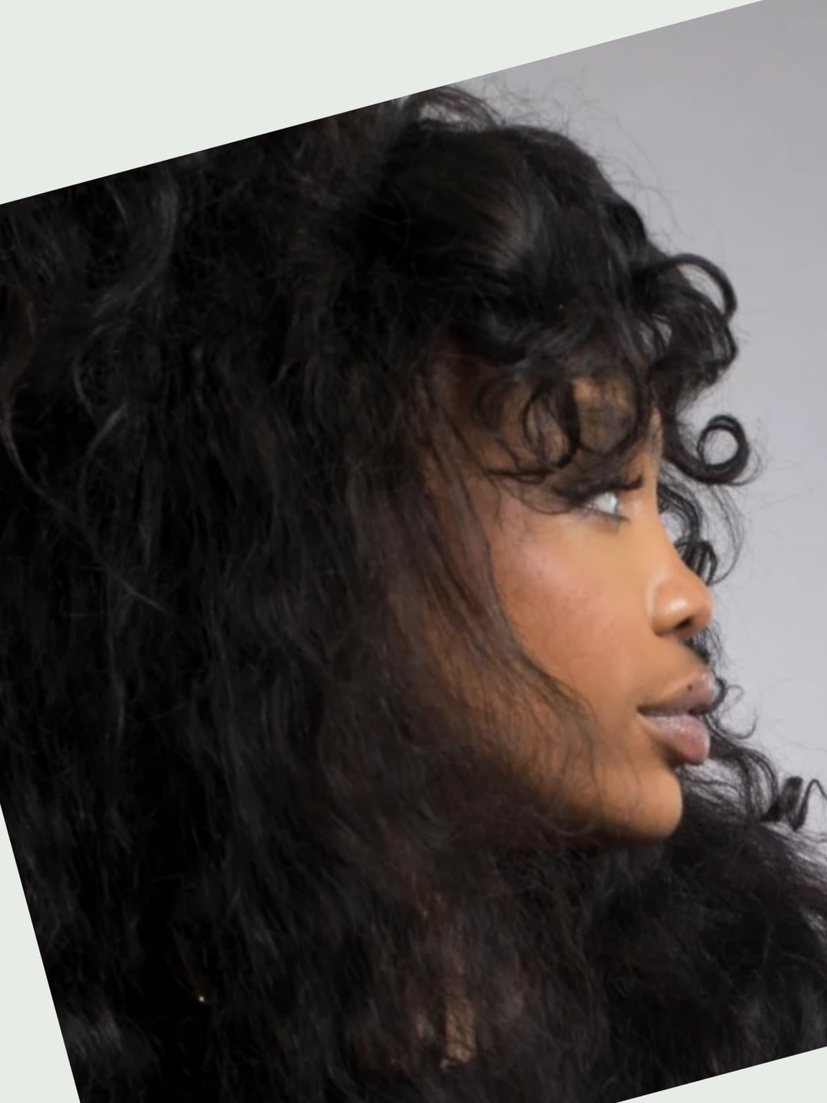 SZA side portrait