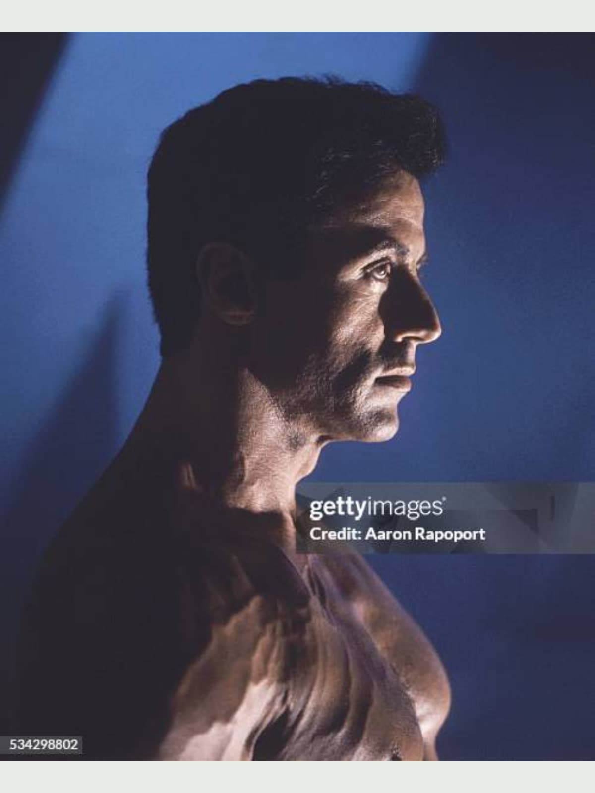Sylvester Stallone side portrait