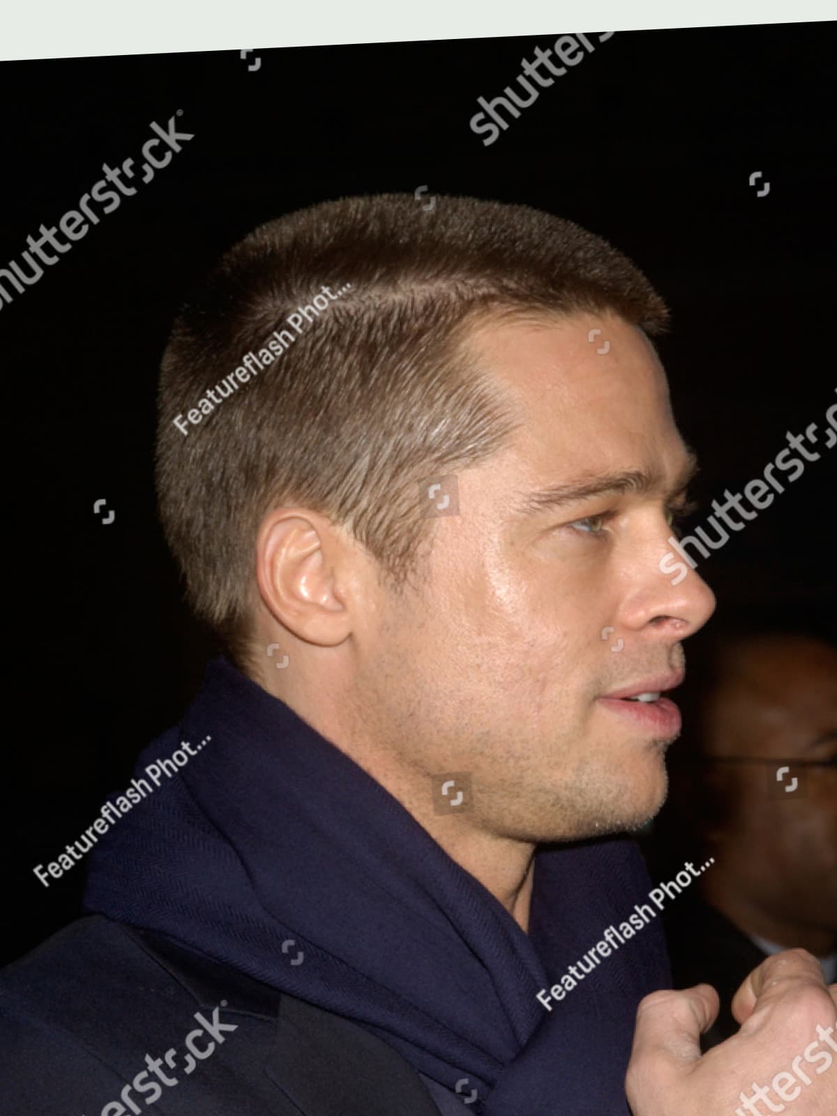 Brad Pitt side portrait