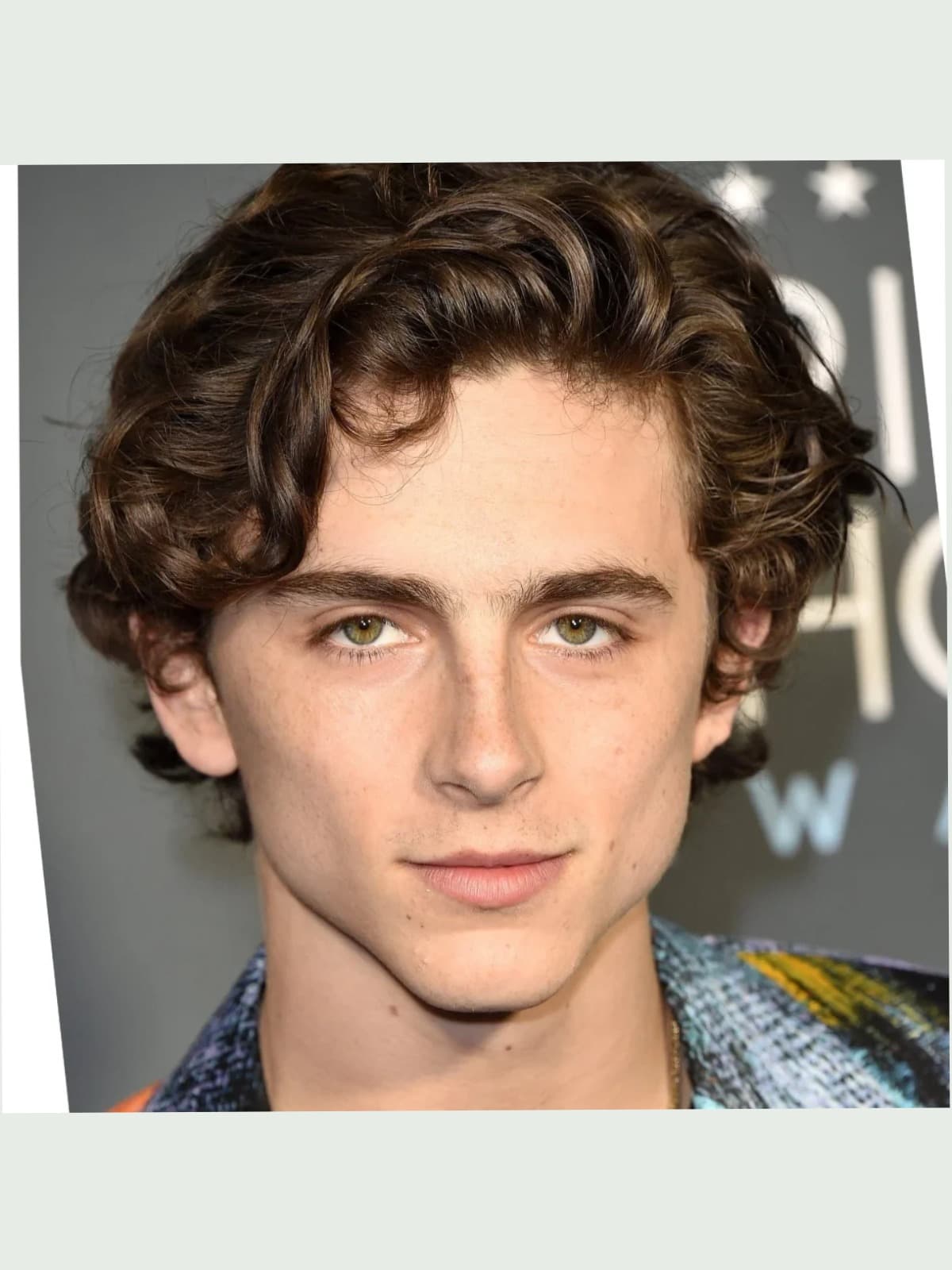 Timothée Chalamet front portrait