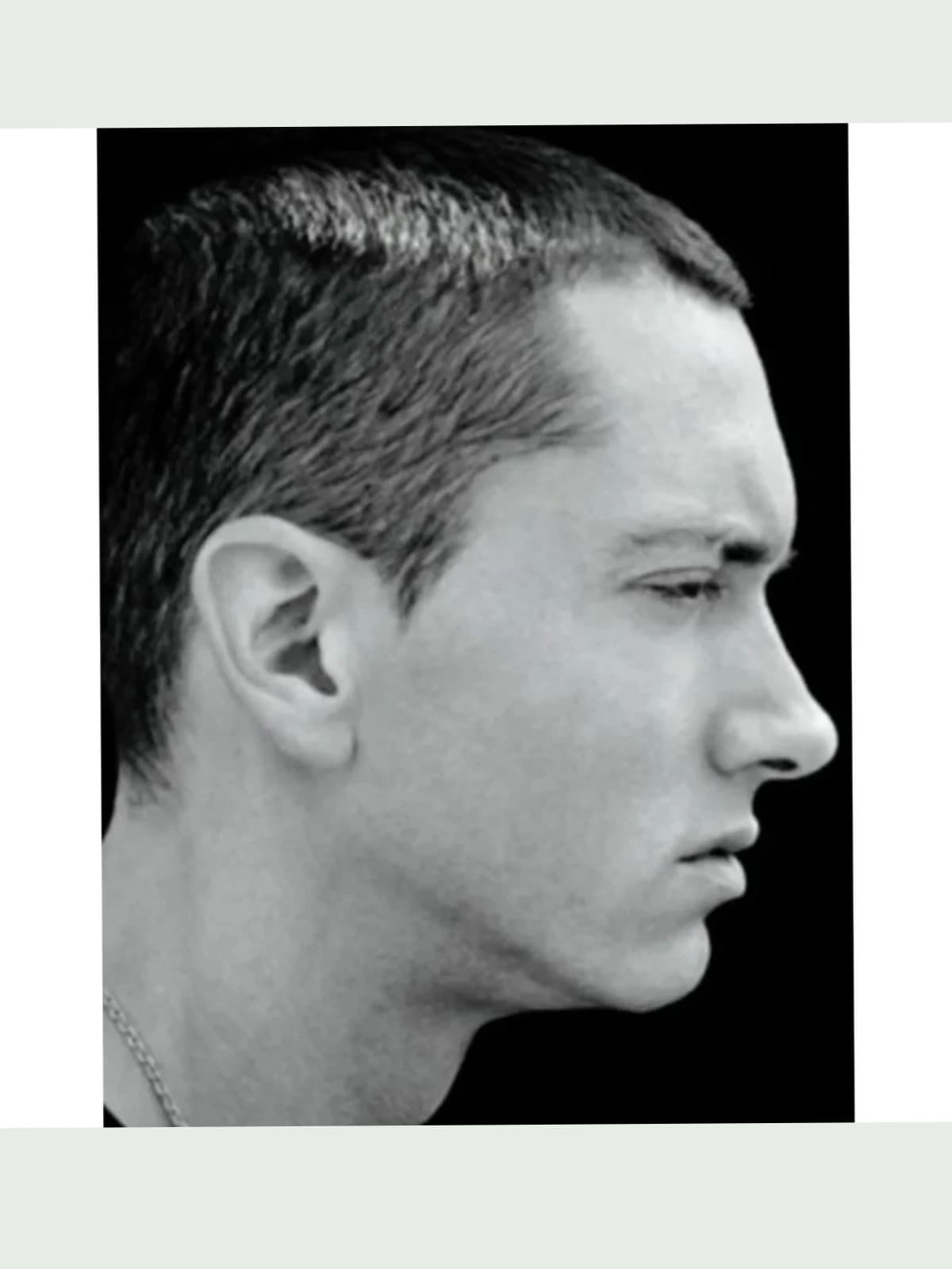 Eminem side portrait
