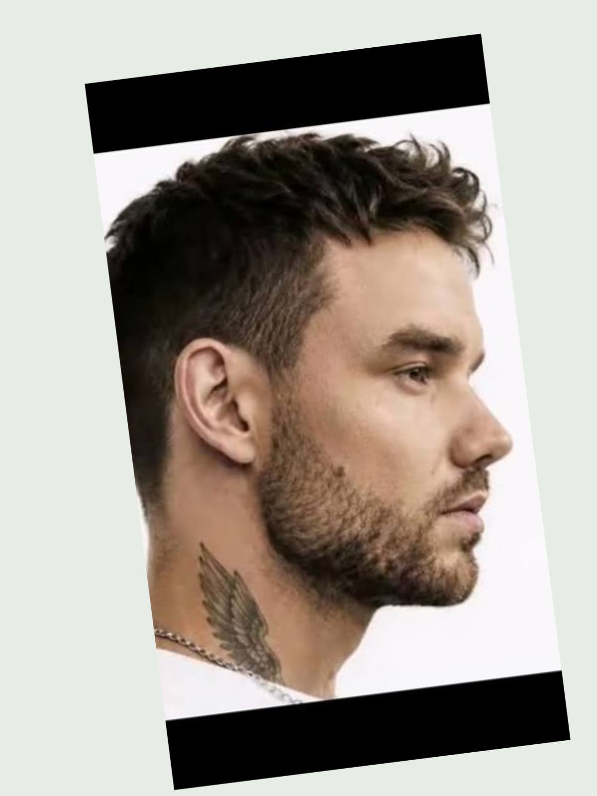 Liam Payne side portrait