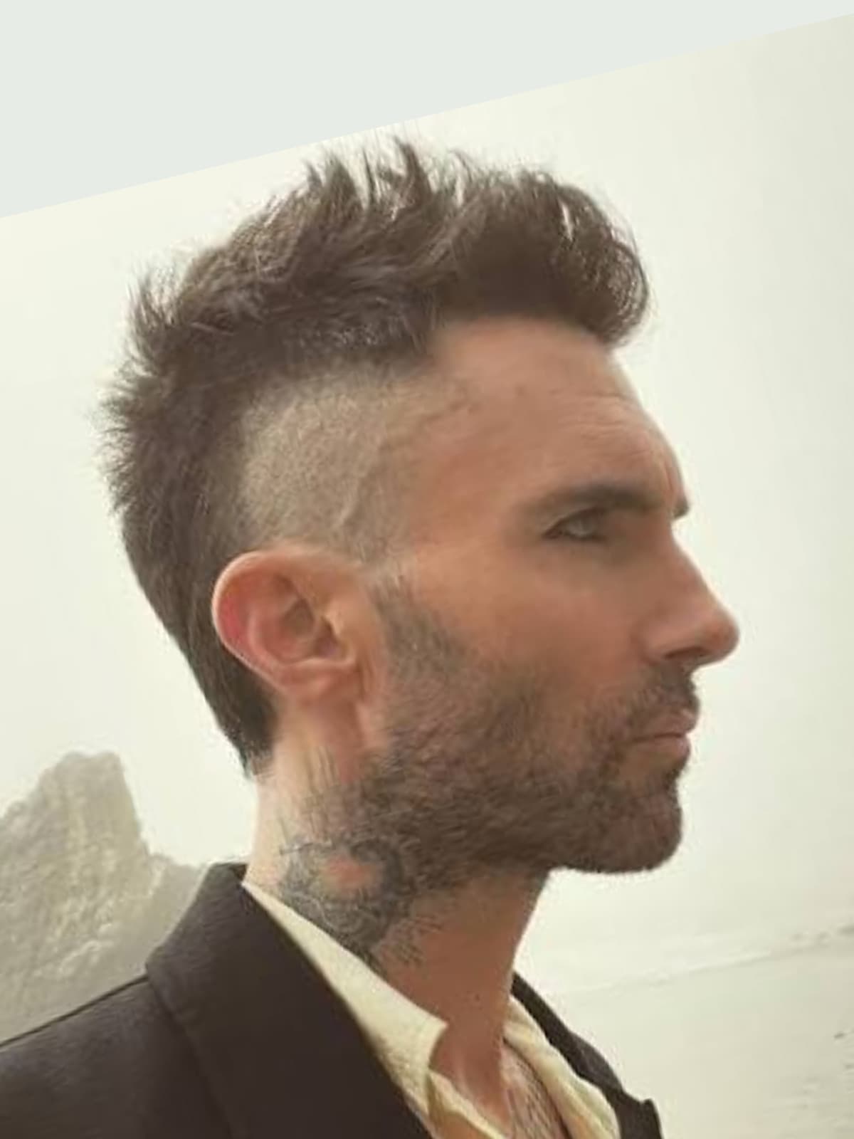 Adam Levine side portrait