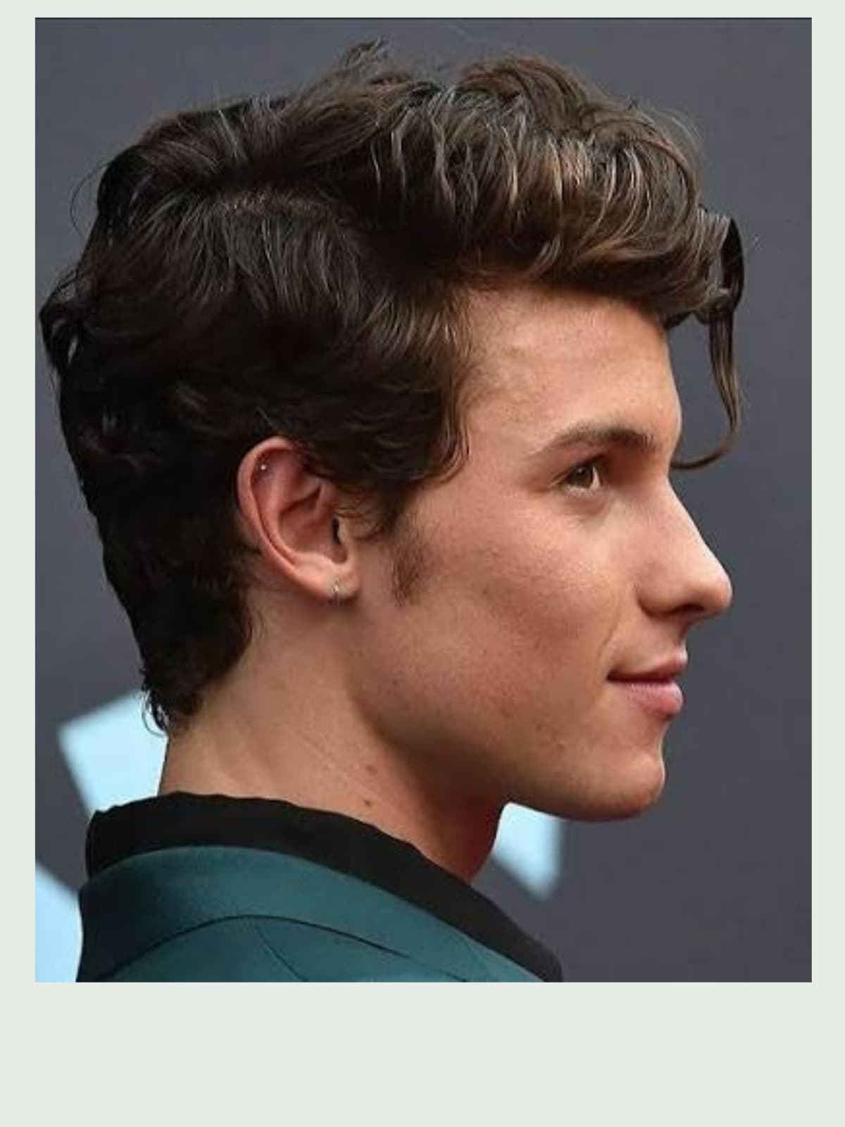 Shawn Mendes side portrait
